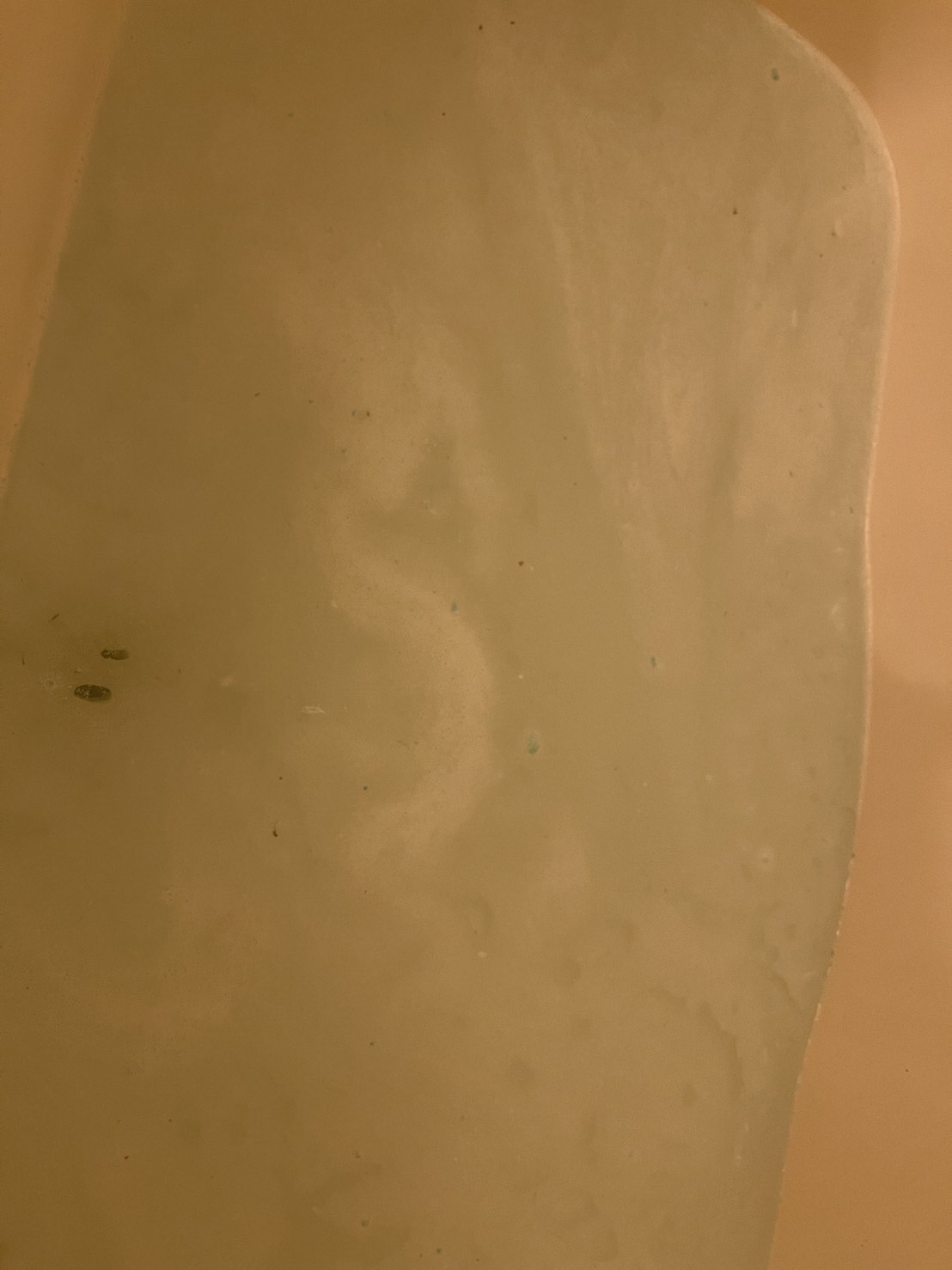 レンジフード・換気扇クリーニング