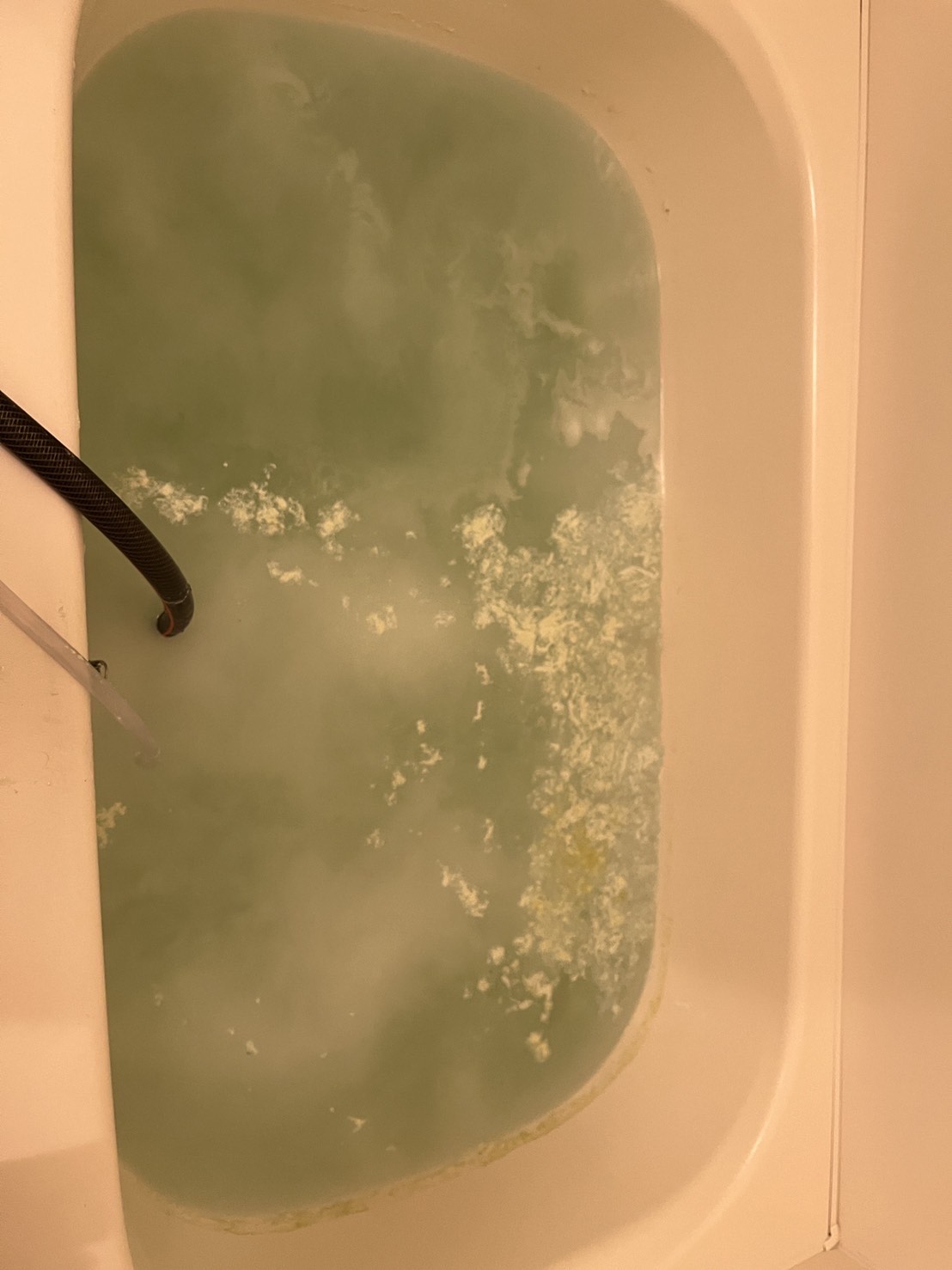 レンジフード・換気扇クリーニング